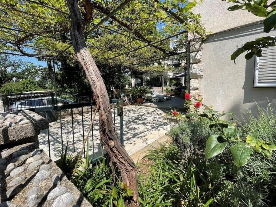 Apartmán Nono Moj Dubrovnik